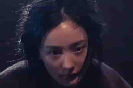 王许梅个人资料_作品介绍_图片-izike