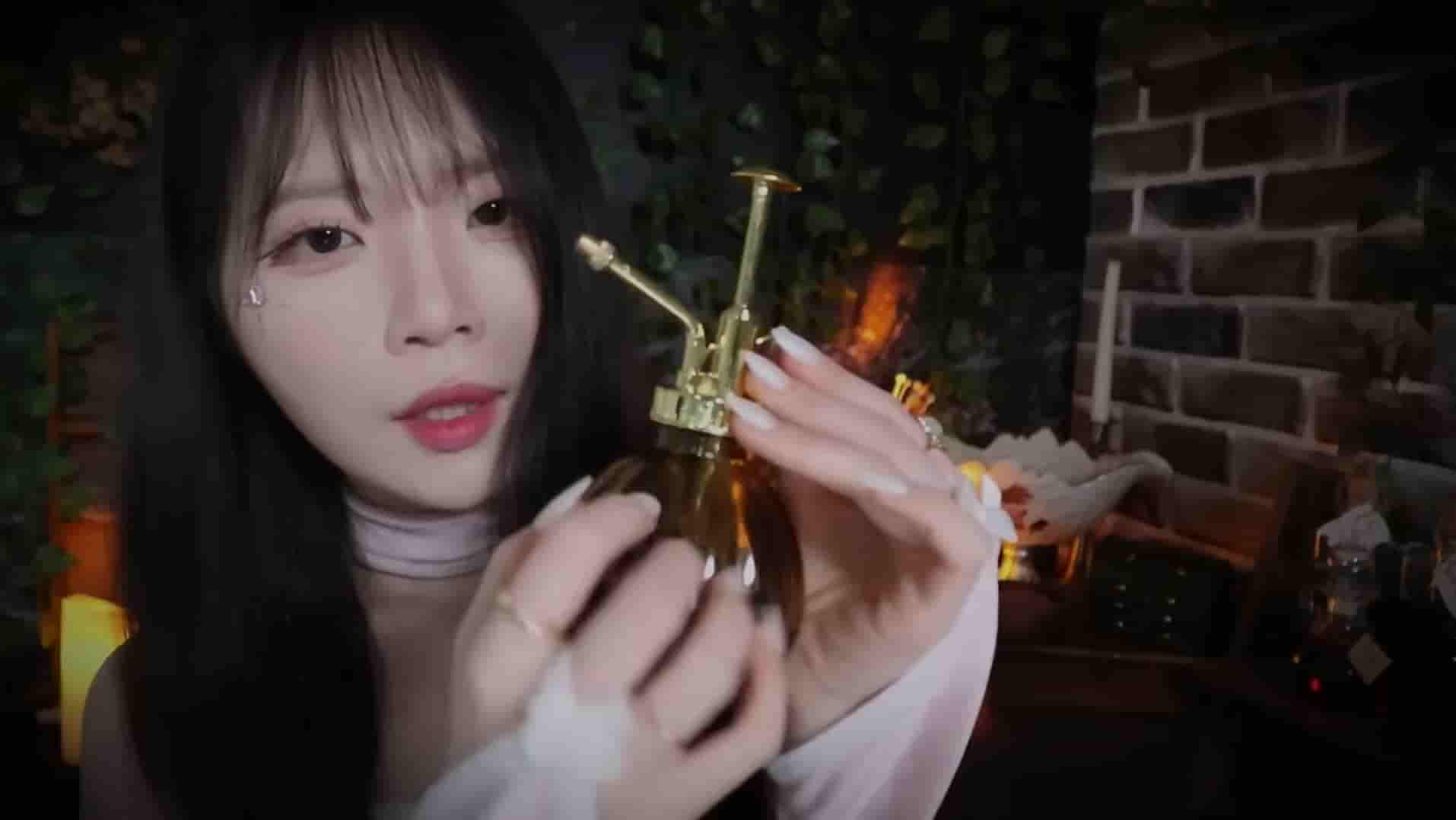 魔法师之家第2部：玫瑰红 - 奇幻情景剧ASMR | 睡前单词与柴火声 | nara-izike